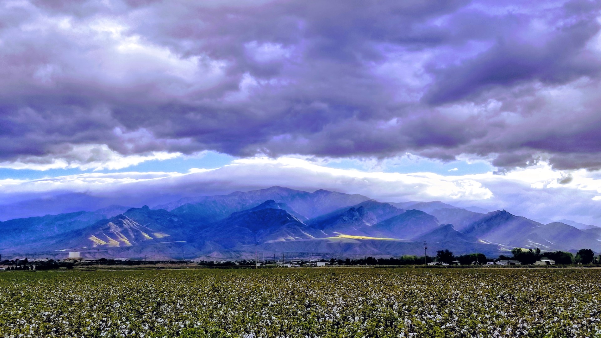 Mt-graham